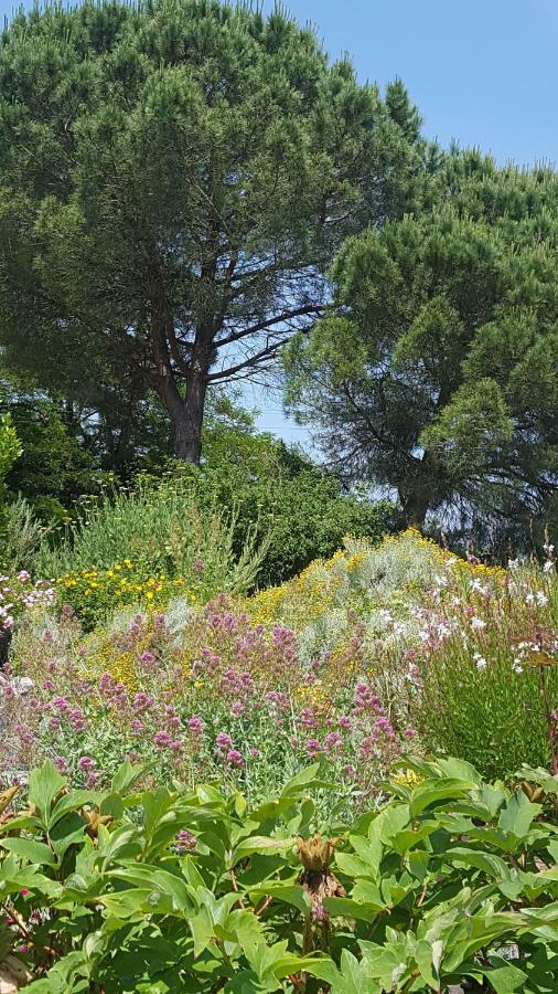 Au Calme Chez L'Habitant Foulayronnes 外观 照片